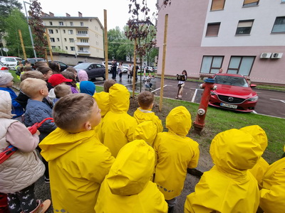 Zasaditev dreves – glasbeni nastop