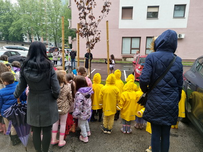 Zasaditev dreves – nagovor
