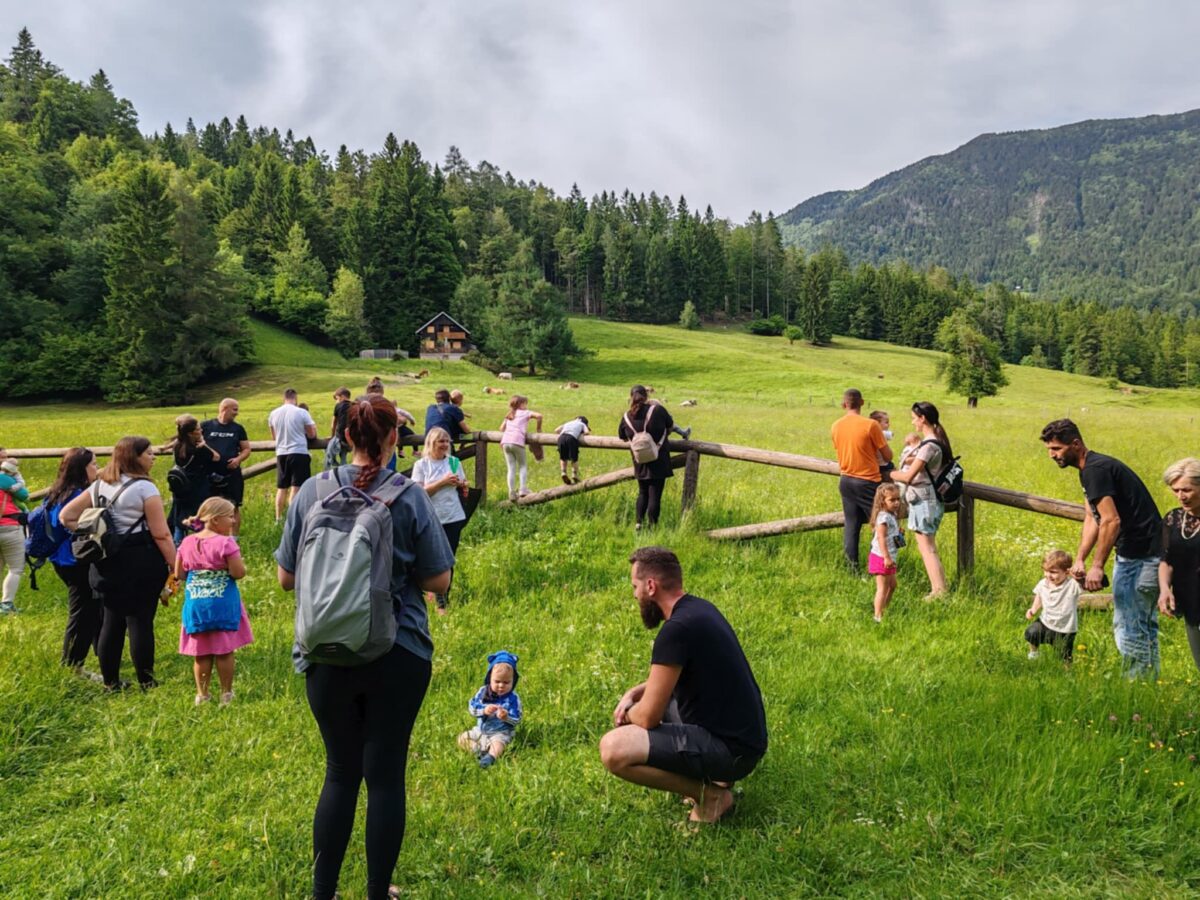 Kje je kravica