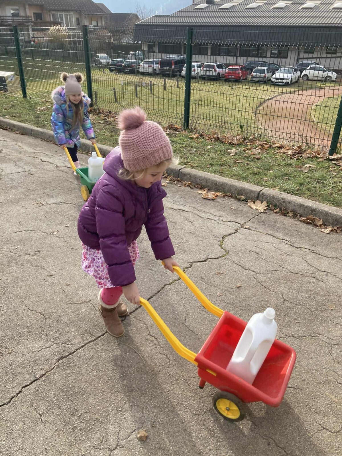 Vožnja samokolnice z mlekom(1)