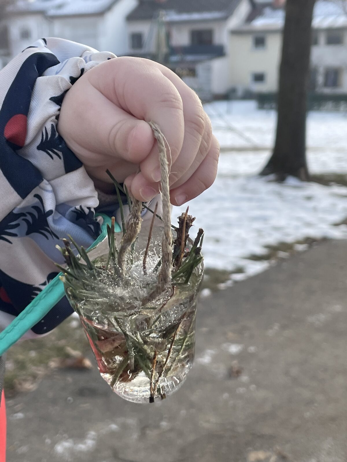 Ledeni okrasek z zelenjem v otroški roki