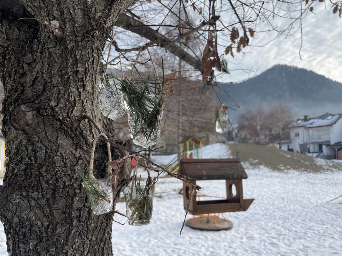 Ledeni okrasi obešeni na veji ob ptičji hišici v zasneženi pokrajini