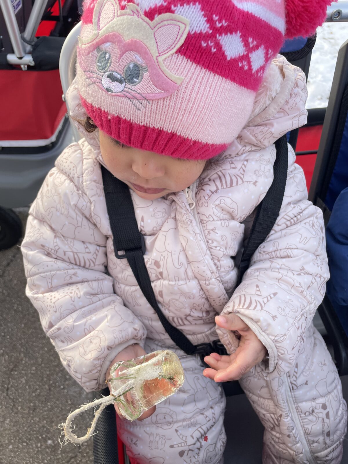 Otrok pripet v otroškem vozičku si ogleda led z iglastimi vejicami