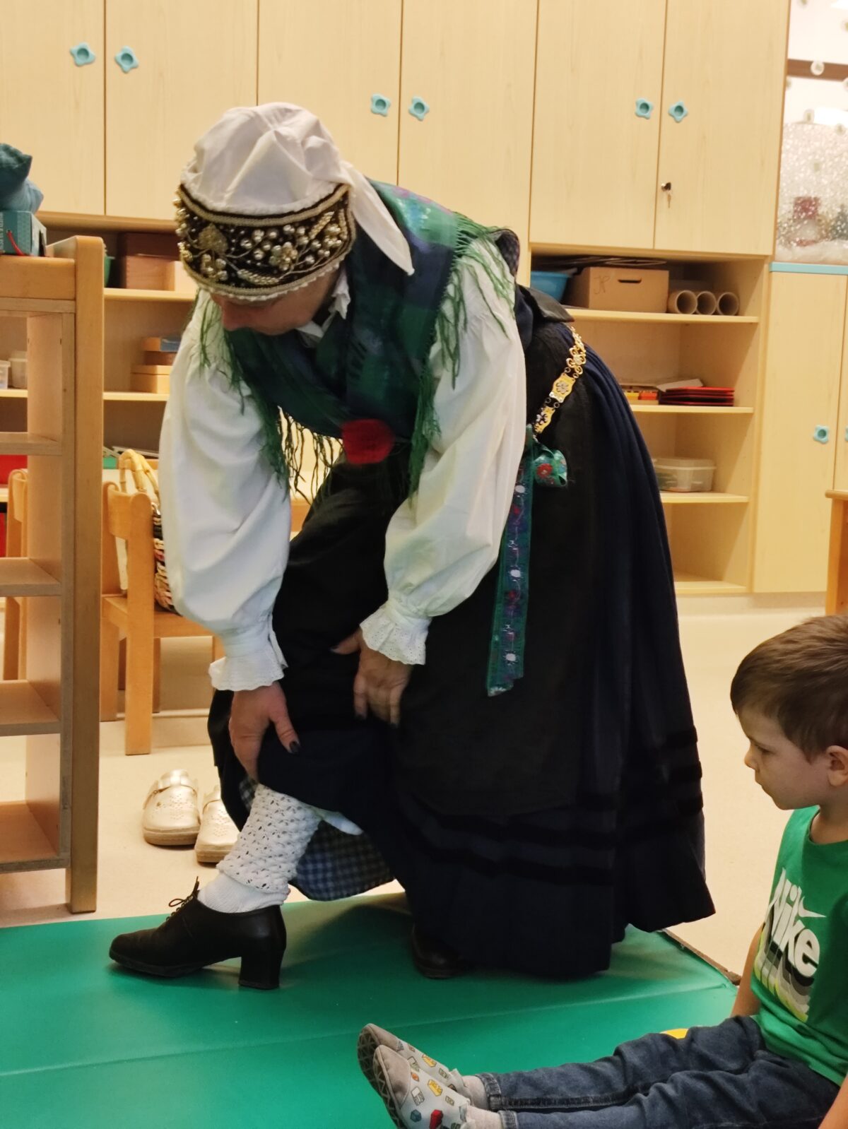 Predstavitev vseh plasti noše