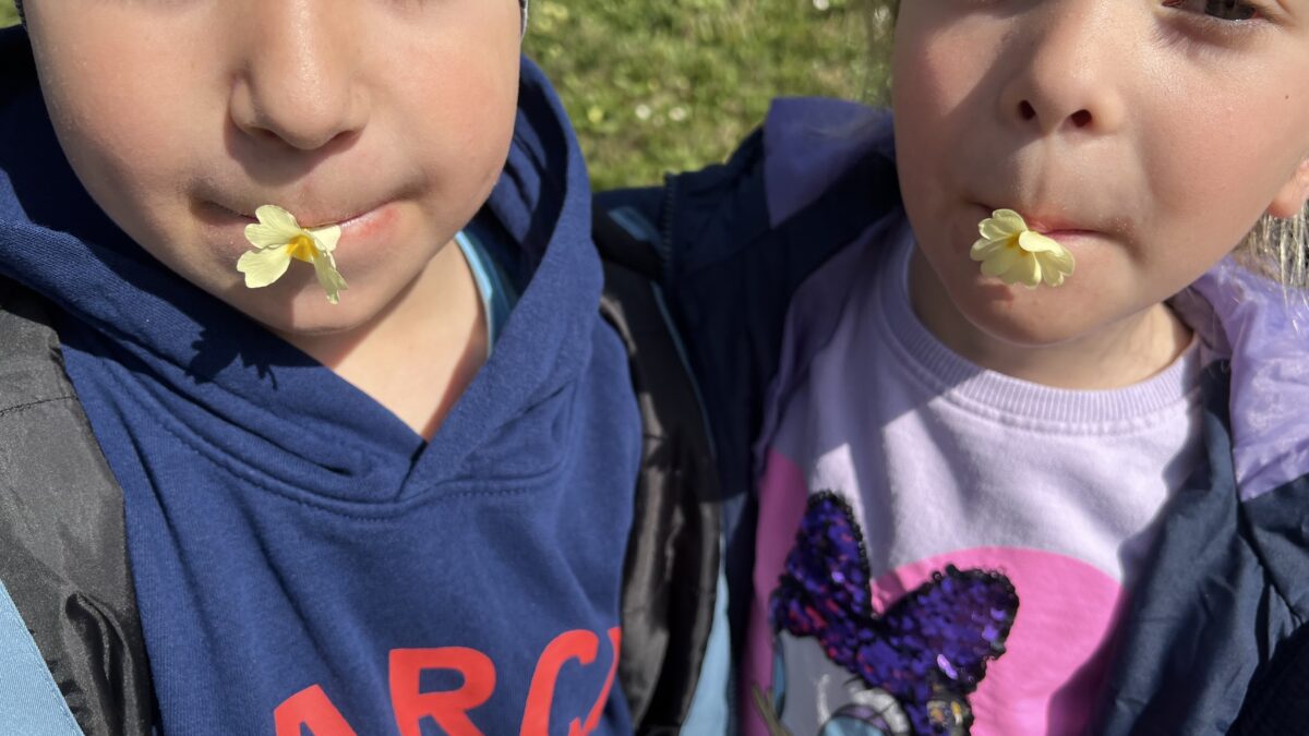 Tra ra tra ra trobentica