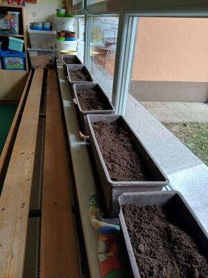 EkoVrtilnica – opazovanje, čakanje, da zrastejo rastline