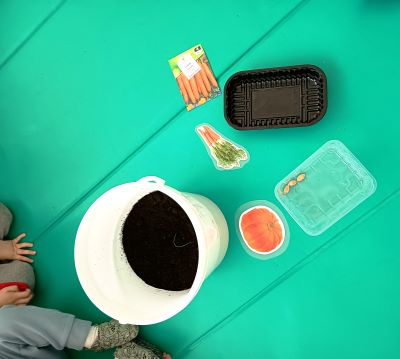 EkoVrtilnica – sajenje buč, sejanje korenja