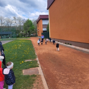 Le kdo bo prvi naokrog