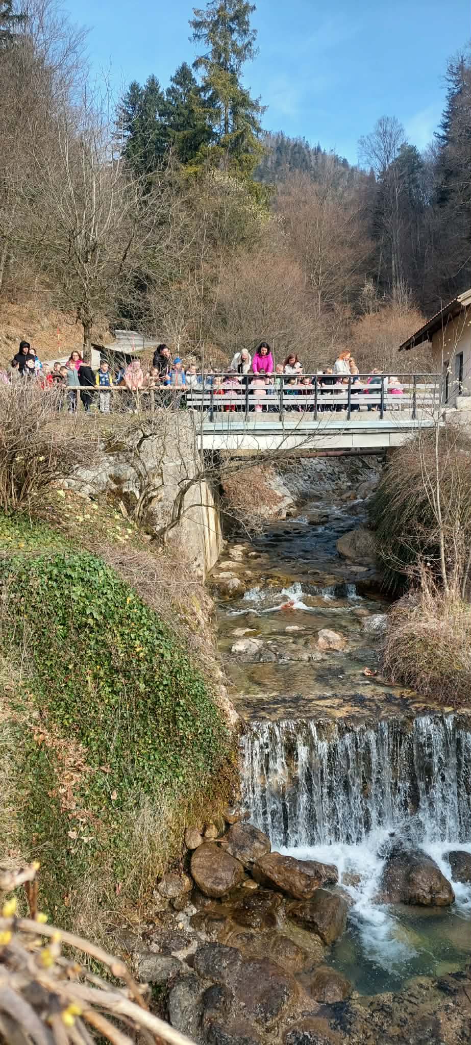 spuščanje gregorčkov