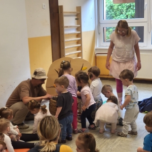 Mali pomočniki pomagajo nabirati listje za v brlog