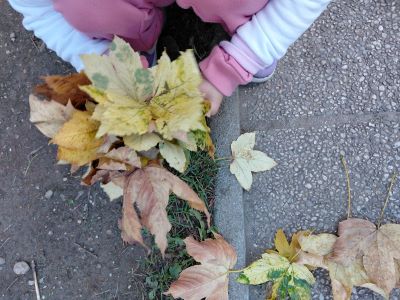 Prišla je jesen – deklica drži šopek jesenskih listov